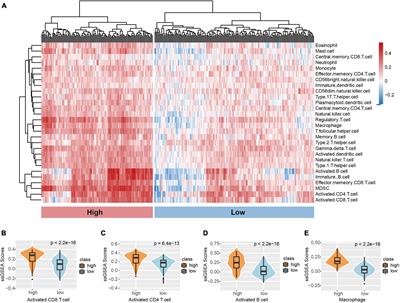 Immune Cell Infiltration-Based Characterization of Triple-Negative Breast Cancer Predicts Prognosis and Chemotherapy Response Markers